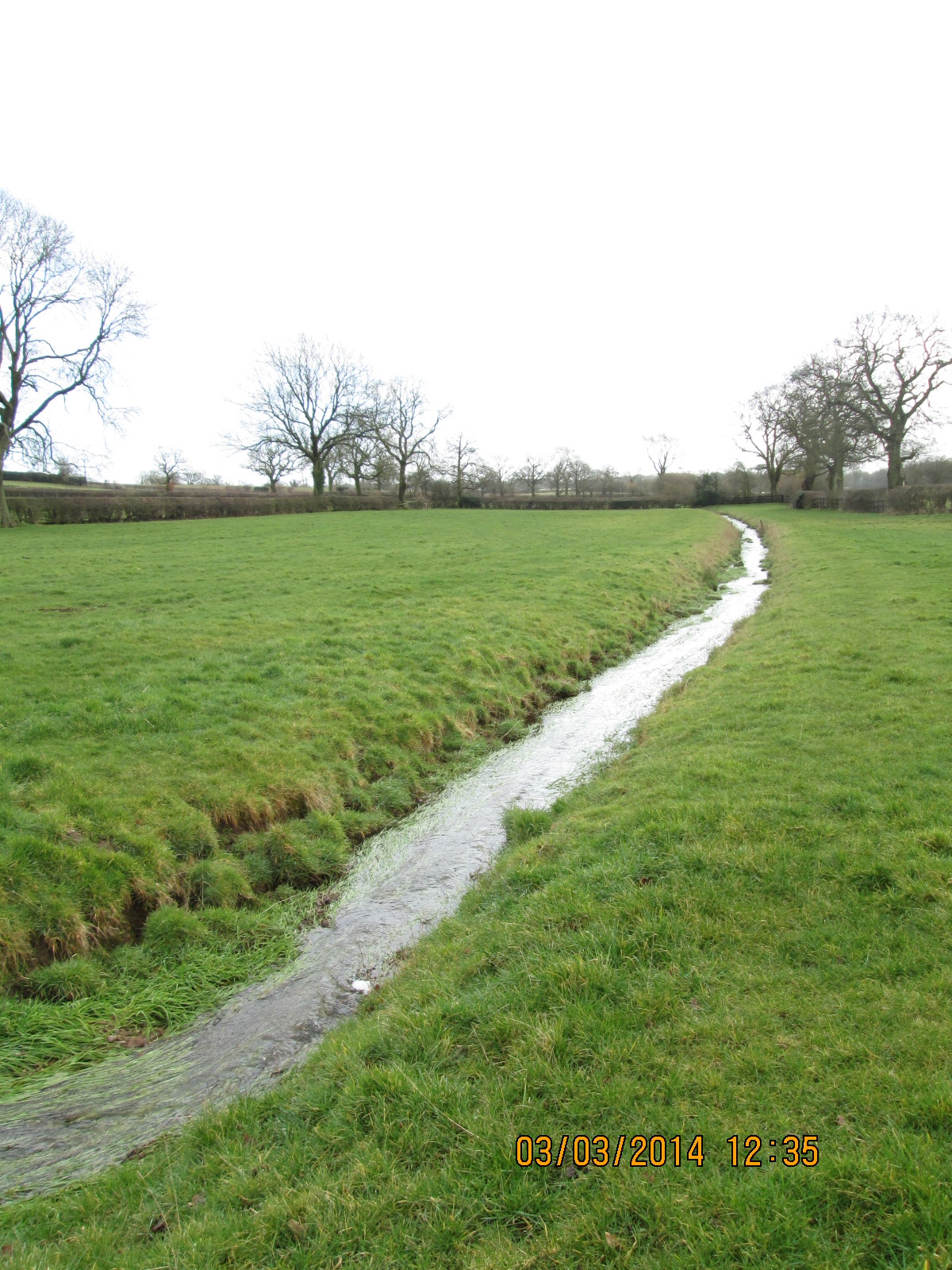 Bridle Brook